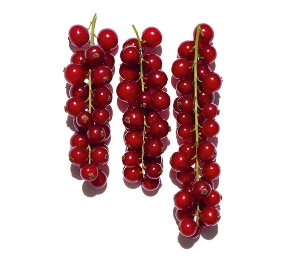 紅醋栗-有機紅醋栗萃取-Ribes rubrum (currant) fruit extract