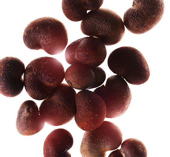 猴麵包樹-有機猴麵包樹油-Adansonia digitata seed oil