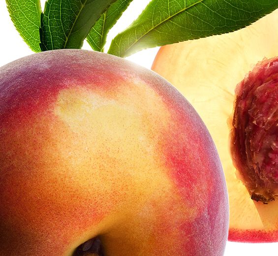 桃樹-桃樹乳-桃樹葉萃取/Prunus persica (peach) leaf extract