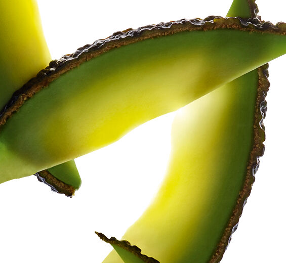 酪梨-酪梨非皂化物-Persea gratissima (avocado) oil unsaponifiables