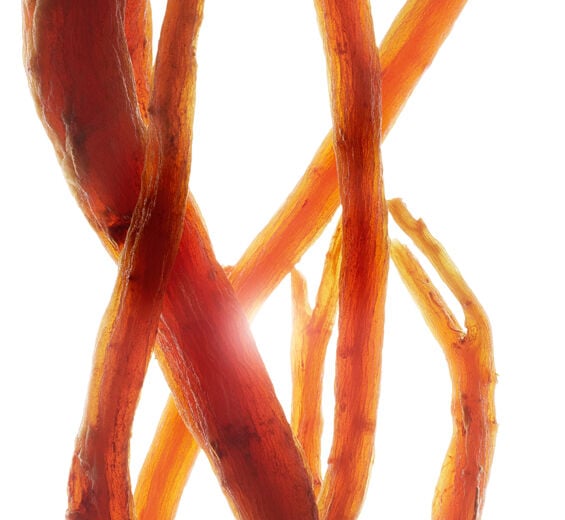 人蔘-有機紅蔘萃取-高麗人參根萃取/Panax ginseng root extract