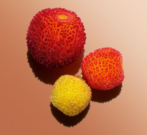 樹莓-有機樹莓萃取-Arbutus unedo fruit extract