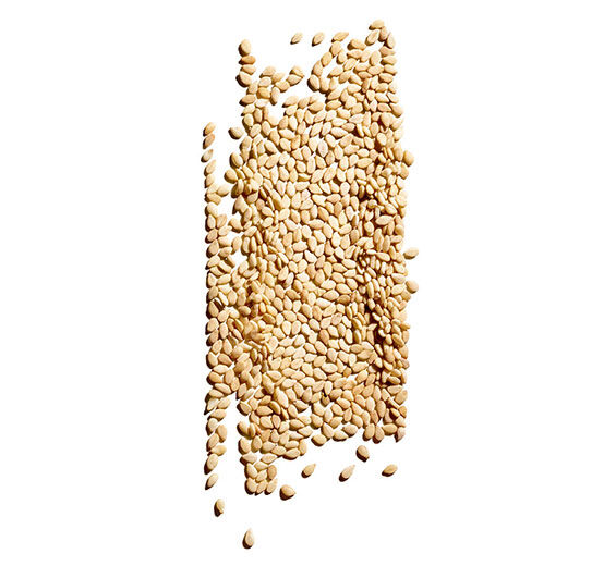 芝麻-有機芝麻油-Sesamum indicum (sesame) seed oil