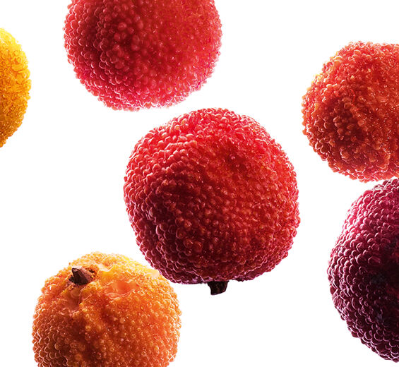 樹莓-有機樹莓萃取-Arbutus unedo fruit extract