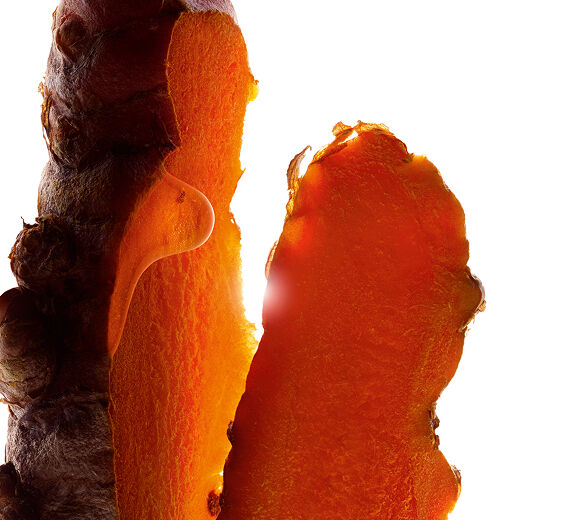 薑黃-薑黃萃取-薑黃根萃取/Curcuma longa (turmeric) root extract