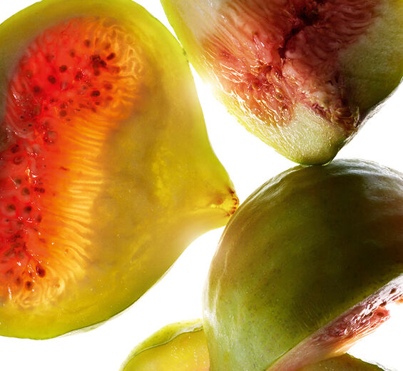 無花果樹-無花果萃取-Ficus carica (fig) fruit extract