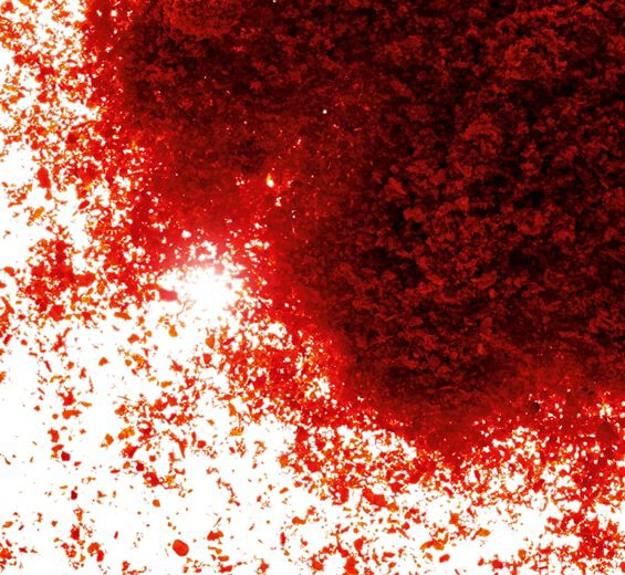 紅辣椒-紅辣椒萃取-辣椒果萃取/Capsicum annuum fruit extract