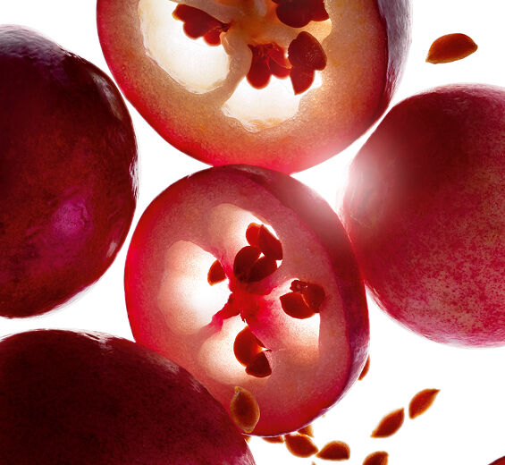 蔓越莓-有機蔓越莓油-Vaccinium macrocarpon (cranberry) seed oil