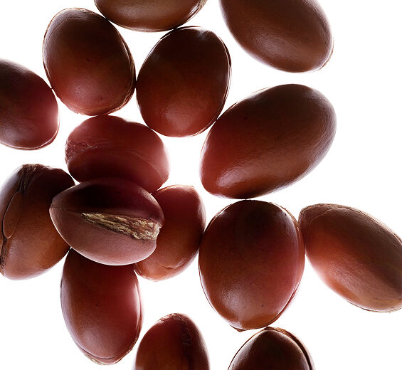 摩洛哥堅果-有機摩洛哥堅果油-摩洛哥堅果油/Argania spinosa kernel oil