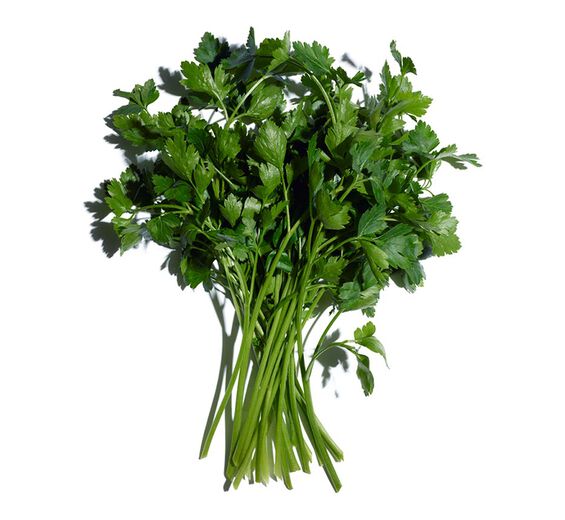 香芹-香芹精油-Carum petroselinum (parsley) seed oil