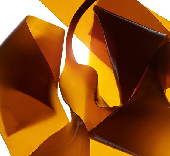 海帶-海帶萃取-小球藻萃取/Chlorella vulgaris extract