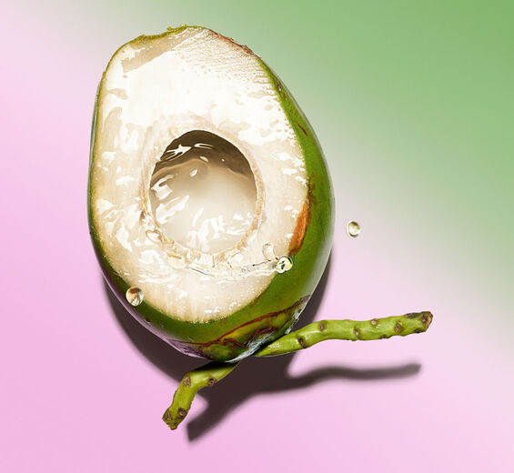 椰子樹-有機椰子水-Cocos nucifera (coconut) fruit juice