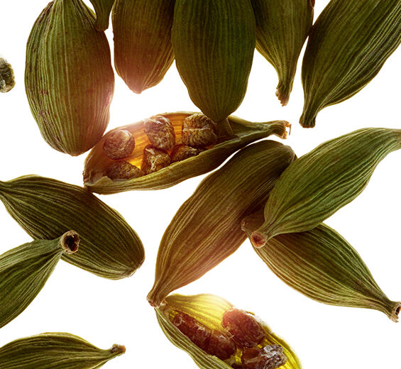 小荳蔻-小豆蔻精油-Elettaria cardamomum seed oil