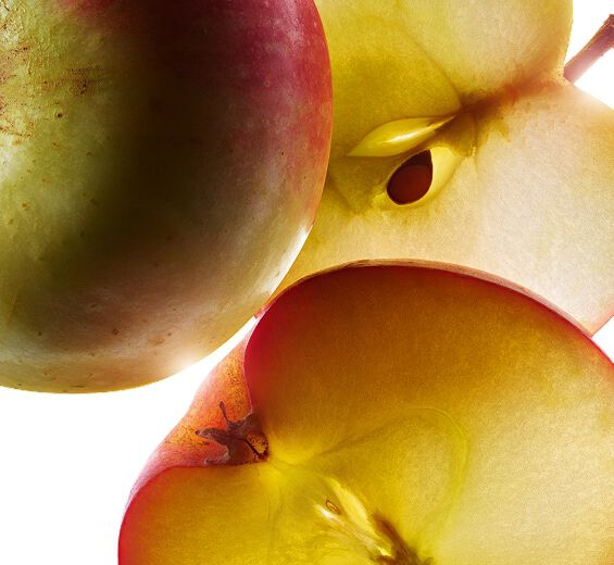 蘋果樹-有機小蘋果萃取-Malus Domestica Fruit Extract