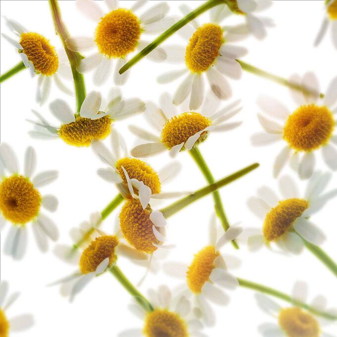 純淨化妝水_舒緩-環保補充包