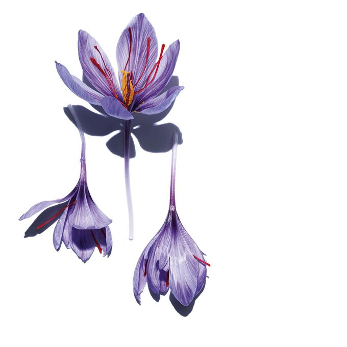 新一代水潤奇肌保濕精華