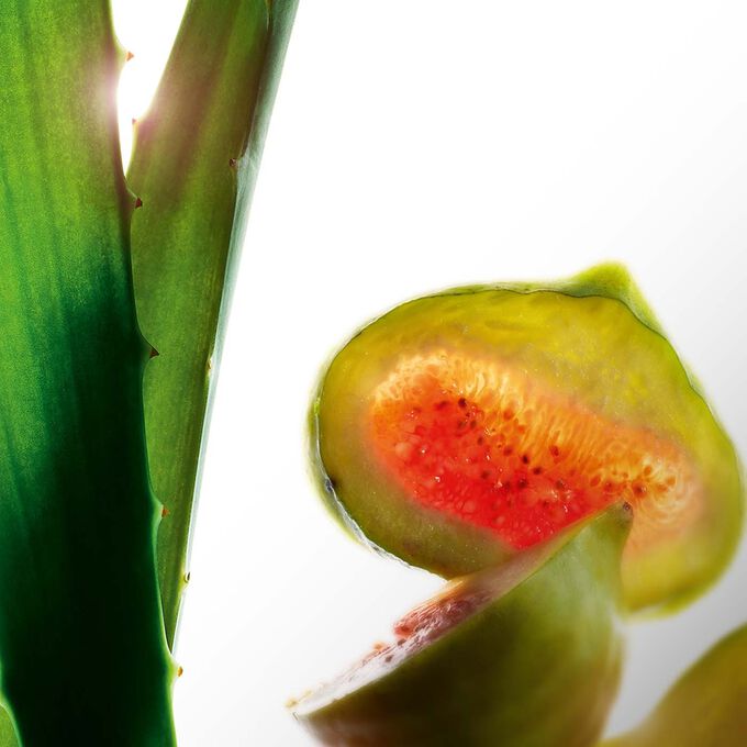 純淨化妝水_保濕-環保補充包