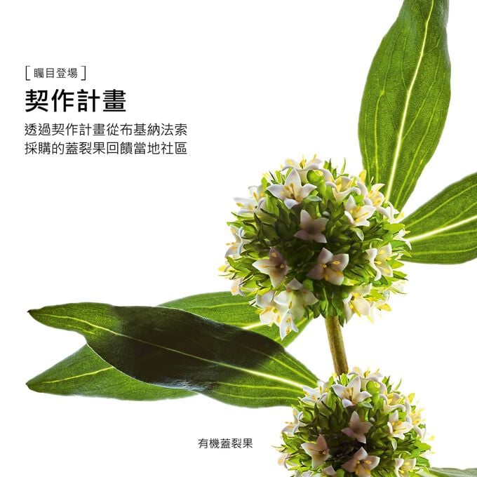 此緊緻保養步驟所使用的有機蓋裂果以負責任的方式採購，有效強化肌膚屏障，改善彈性。