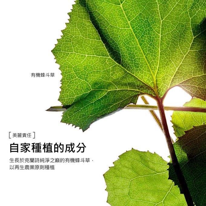 克蘭詩各款緊實身體產品採用的有機蜂斗菜萃取，生長於實施再生農業原則的蘭詩純淨之巔。