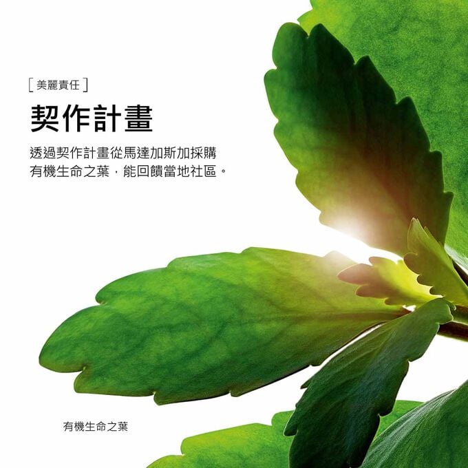 綠色植物葉片圖片，詳細說明契作計畫以及這款精華粉底液背後的天然成分。
