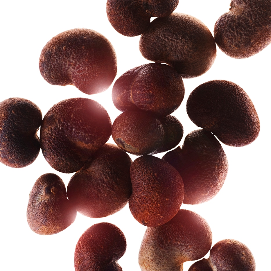 猴麵包樹-猴麵包樹萃取-水解猴麵包樹萃取/Hydrolyzed adansonia digitata extract