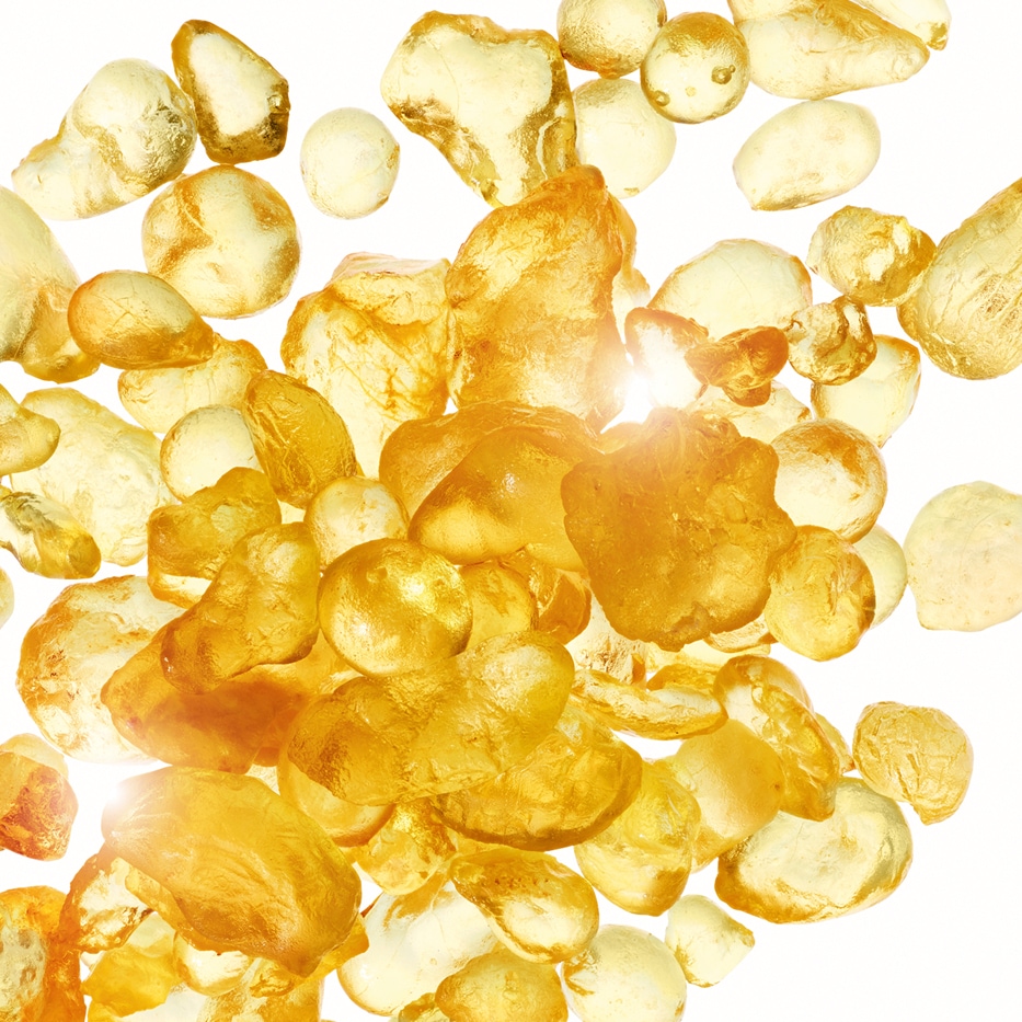 乳香灌木-乳香萃取-乳香膠（香膠樹脂）/Pistacia lentiscus (mastic) gum