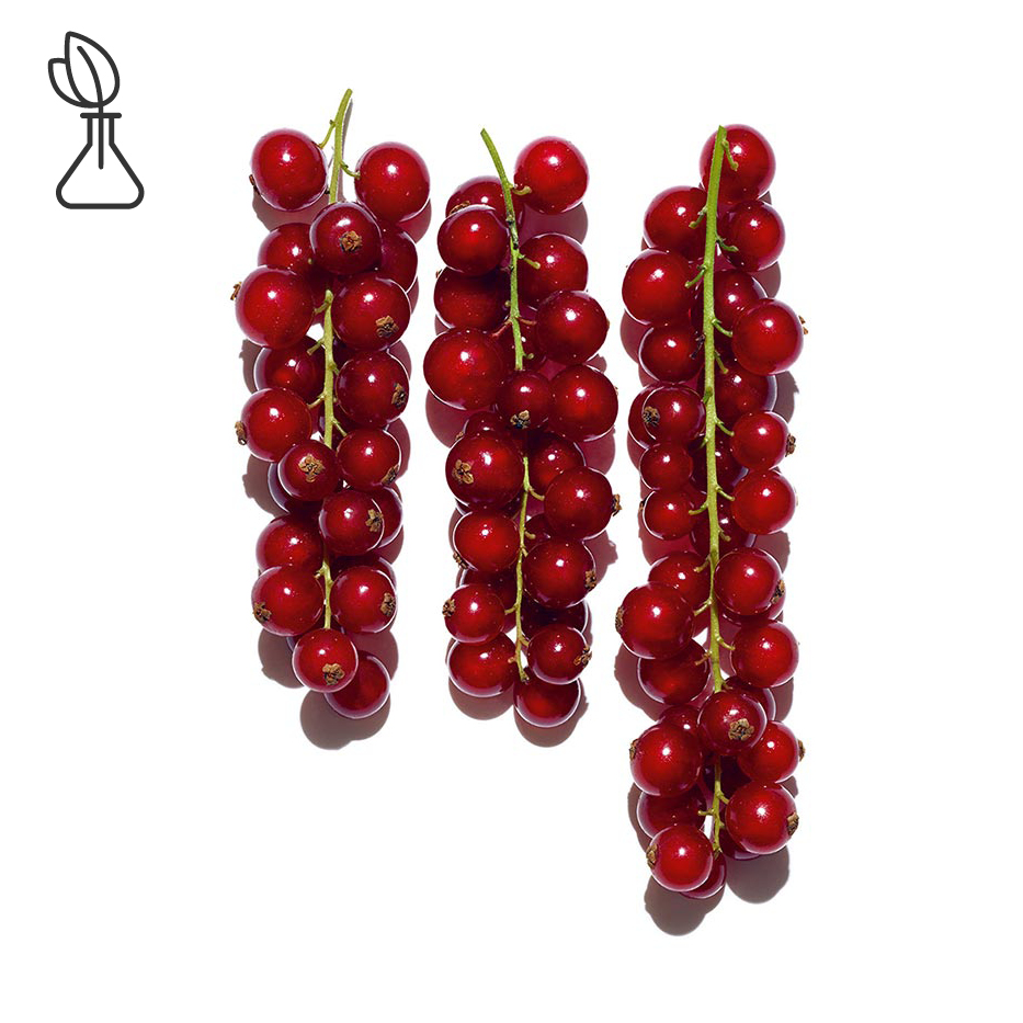 紅醋栗-有機紅醋栗萃取-紅醋栗果實萃取/Ribes rubrum (currant) fruit extract