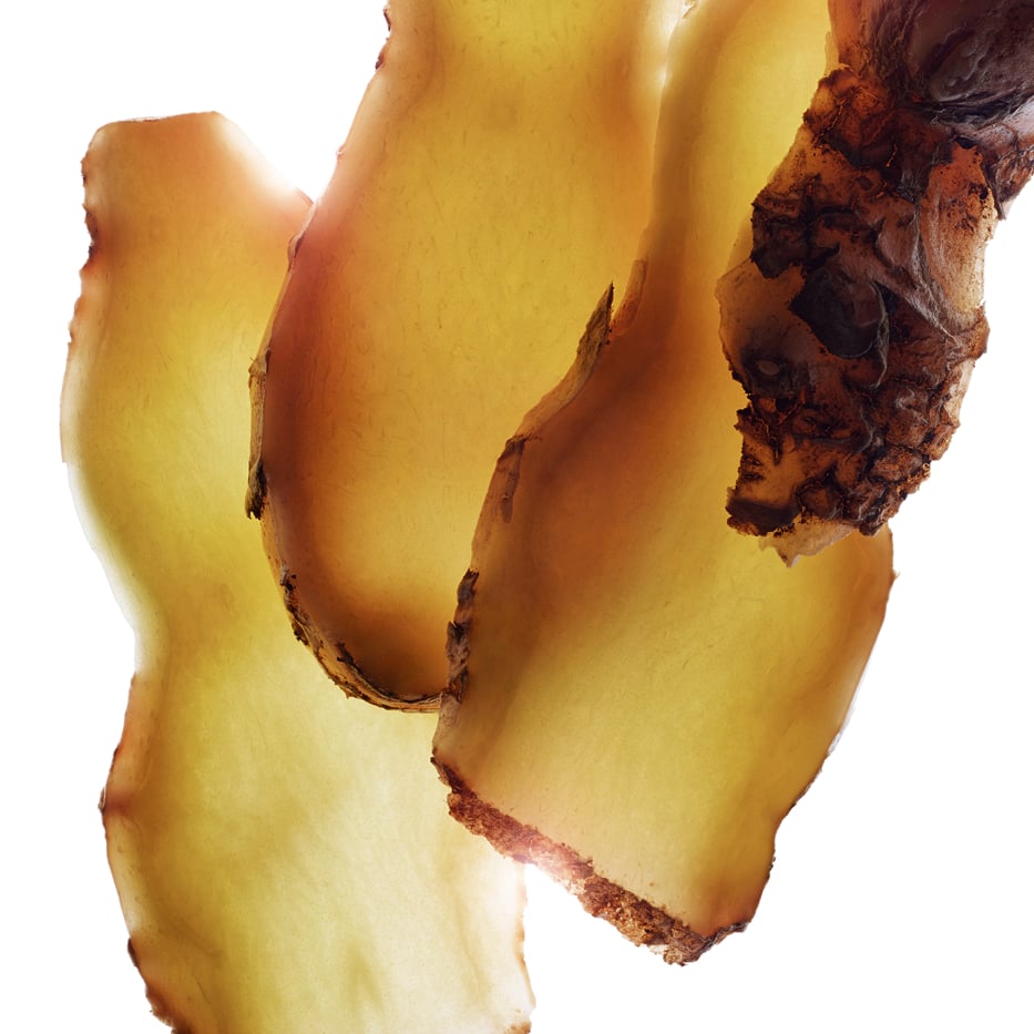 球薑-球薑萃取-香薑萃取/Zingiber zerumbet extract