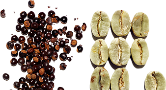 有機瓜拿納萃取和草本咖啡因