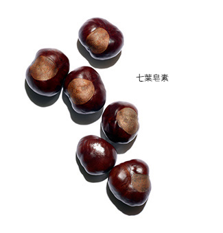 七葉皂素